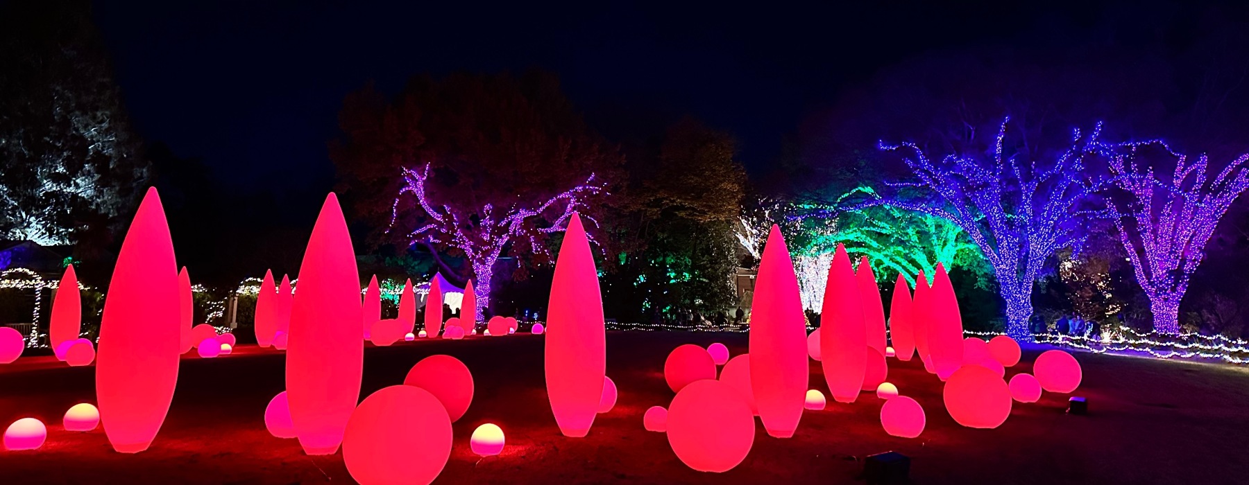 Local Holiday Events in ATL